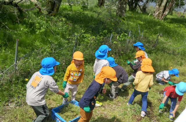 子どもの様子（くま・きりん・ぞう組）