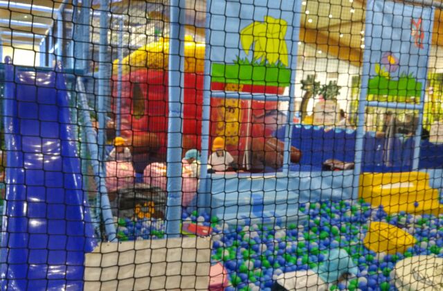 4/23親子遠足(くま・きりん・ぞう組）