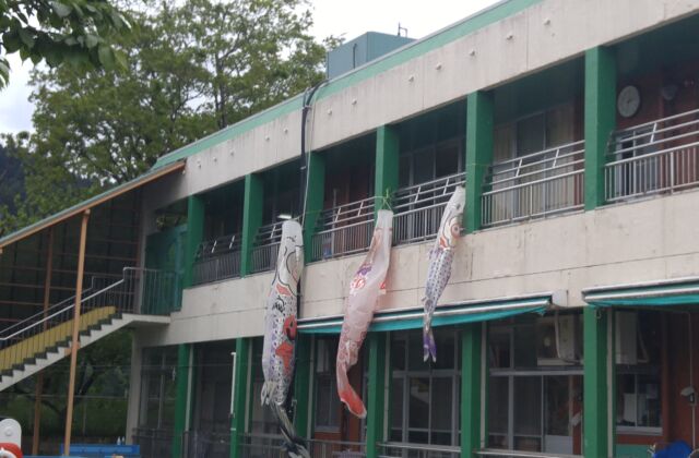 鯉のぼりが泳いでいます♪