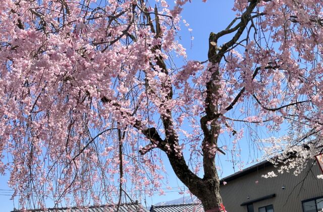 4/6ぽかもりの様子