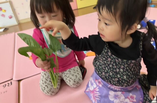 プチ食育活動