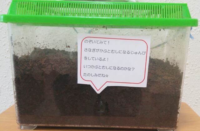 あと少し・・・かな？