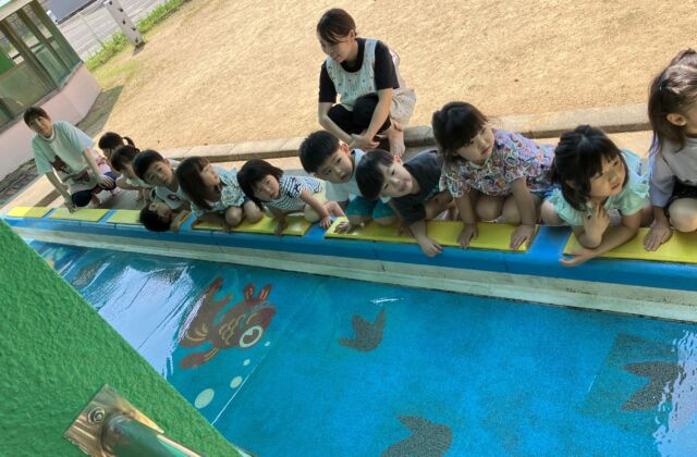 プール開き　夏の遊びが楽しみだね♪