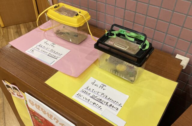 みてみてコーナーができました