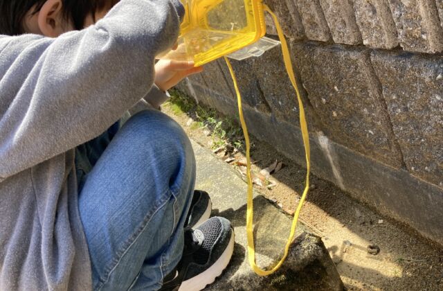 ありさん、またね…