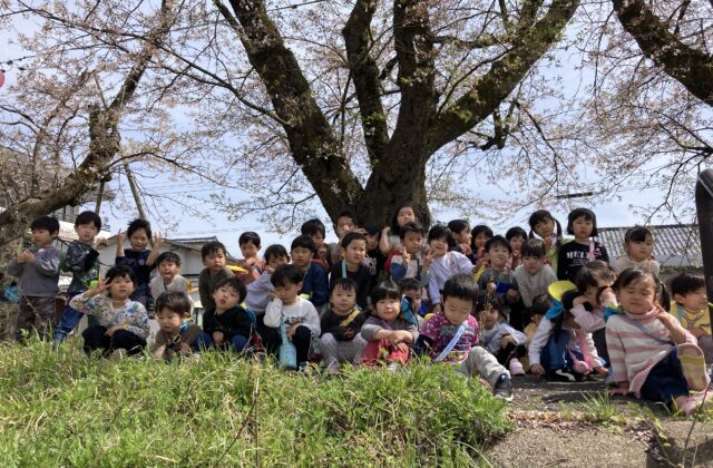 弁天河原へお花見に行きました♪（ぱんだ・きりん・らいおん組）