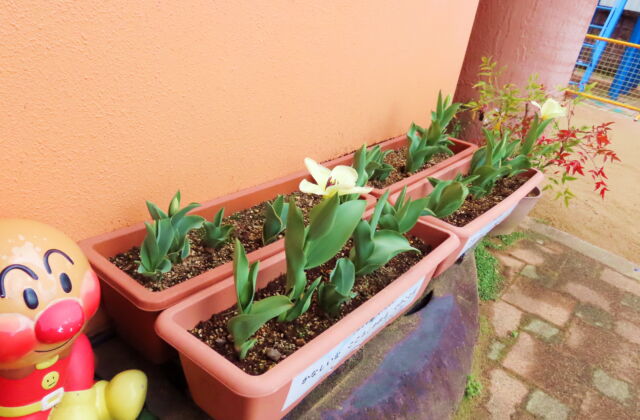 新年度がスタートしました♪