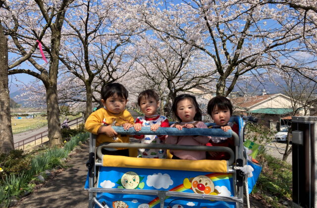 お散歩日和♪（うさぎ組）