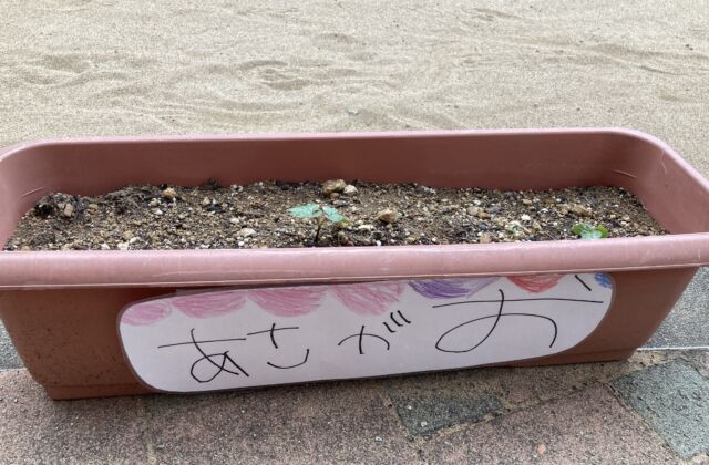 みんなで育てよう♪