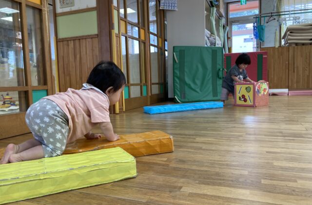 登れるかな？