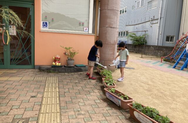 9:00の水やりタイム