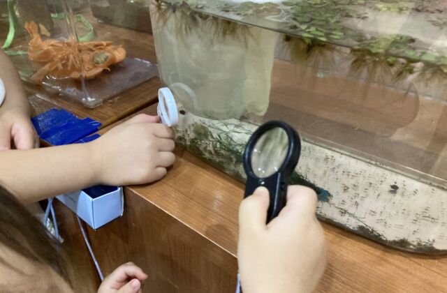 お姉ちゃんのまねっこ♪