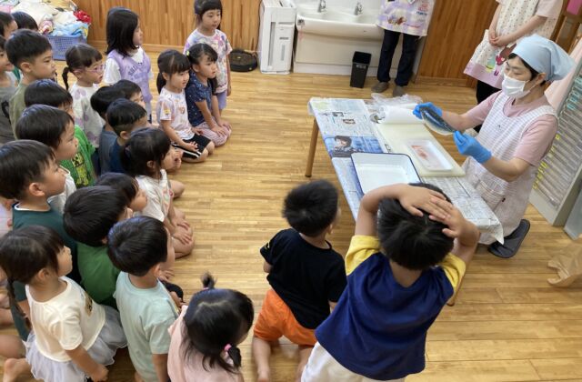 鯖の解体ショー🐟