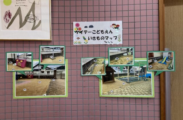 生き物コーナーが充実しています