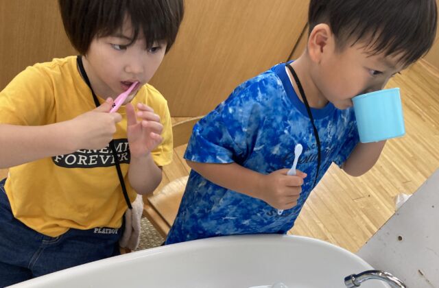 歯磨きが始まりました