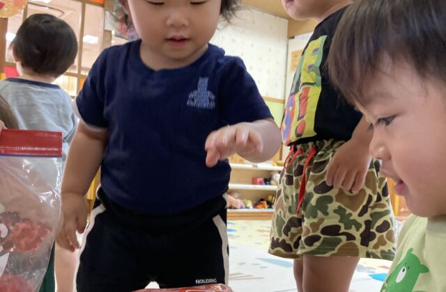 寒天あそびのその後…