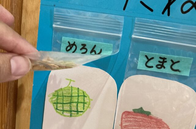 種　図鑑