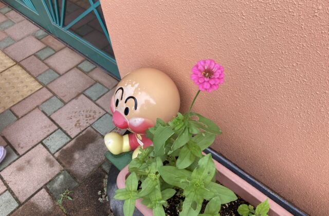 一番に咲いた花は…！？
