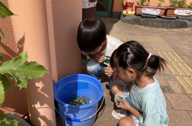 分かったよ！！