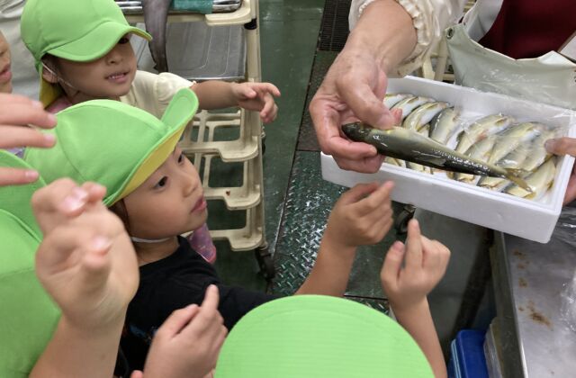 お魚の骨の図鑑を作りたい！！