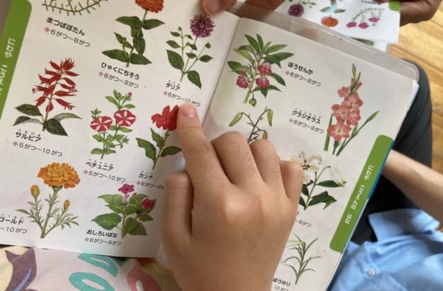 何の花かな・・・