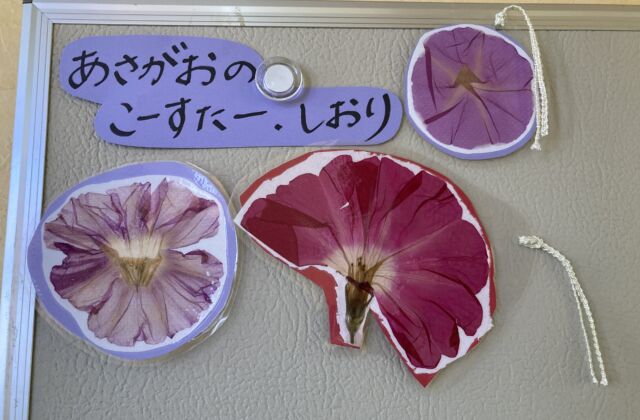 押し花をやってみたい