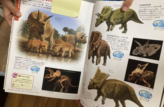 恐竜って…？