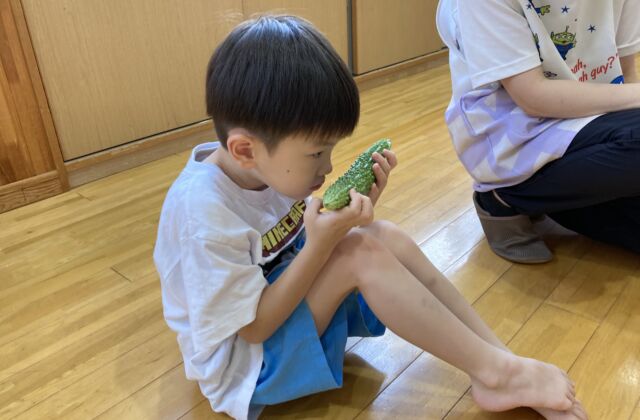 ゴーヤって知ってる？
