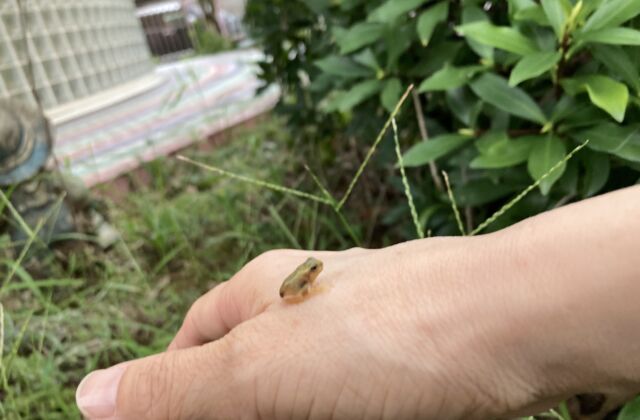 元気でね♪