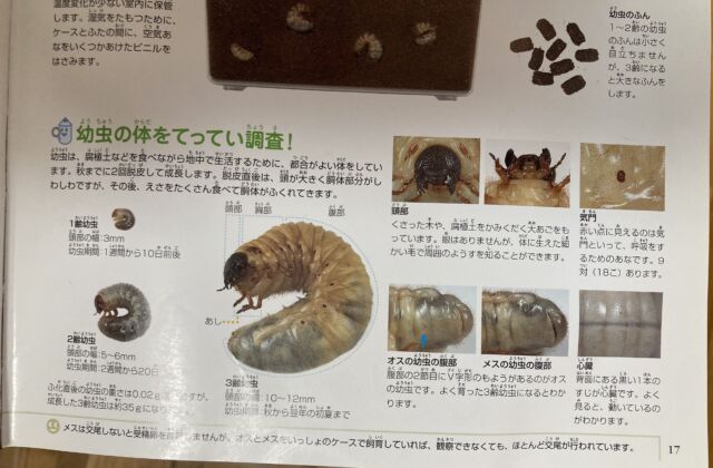 ちょっと見て！！